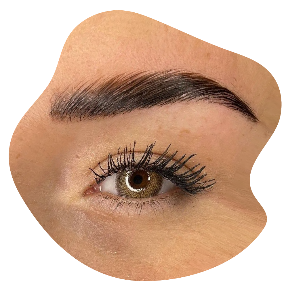 Brow & Lash Lifting