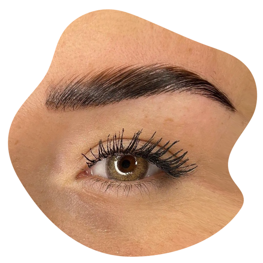 Brow & Lash Lifting